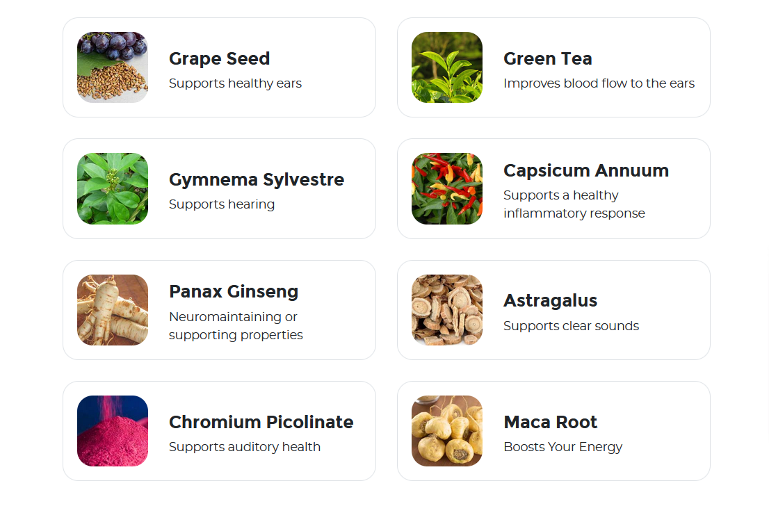 Zencortex Ingredients